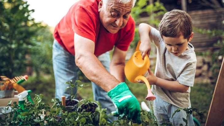 riego adecuado plantas evitar hongos