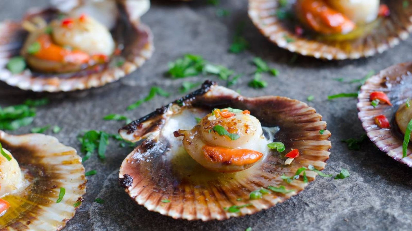 vieiras horno portada