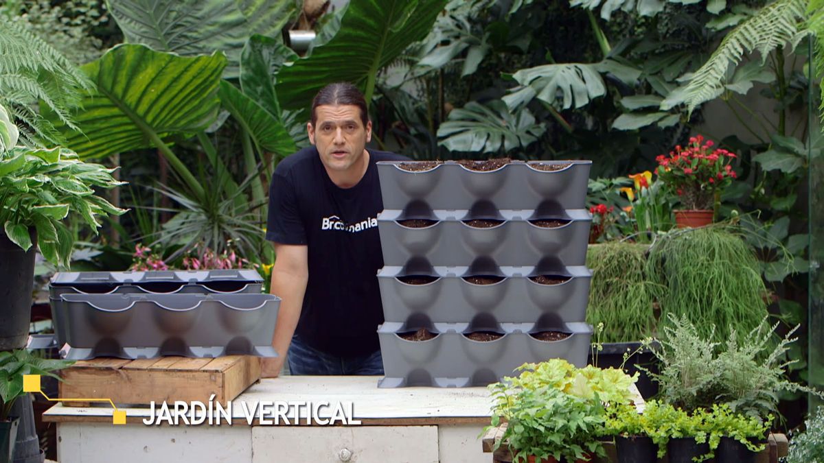 brico 955 3 jardin vertical pared norte origen