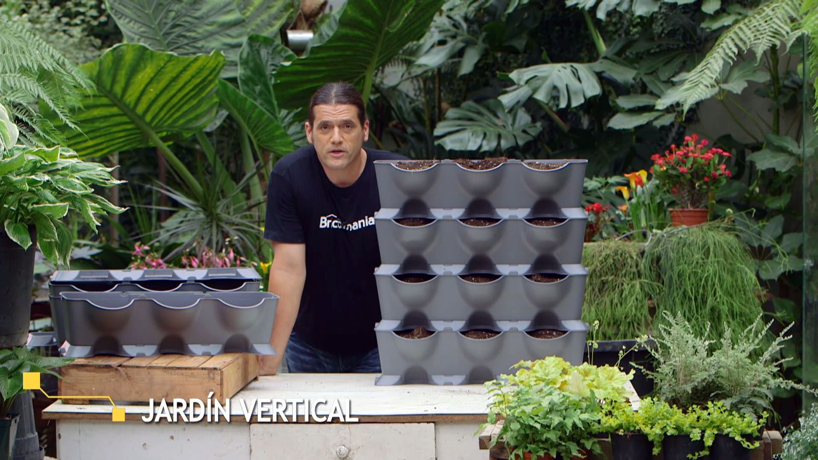 brico 955 3 jardin vertical pared norte origen