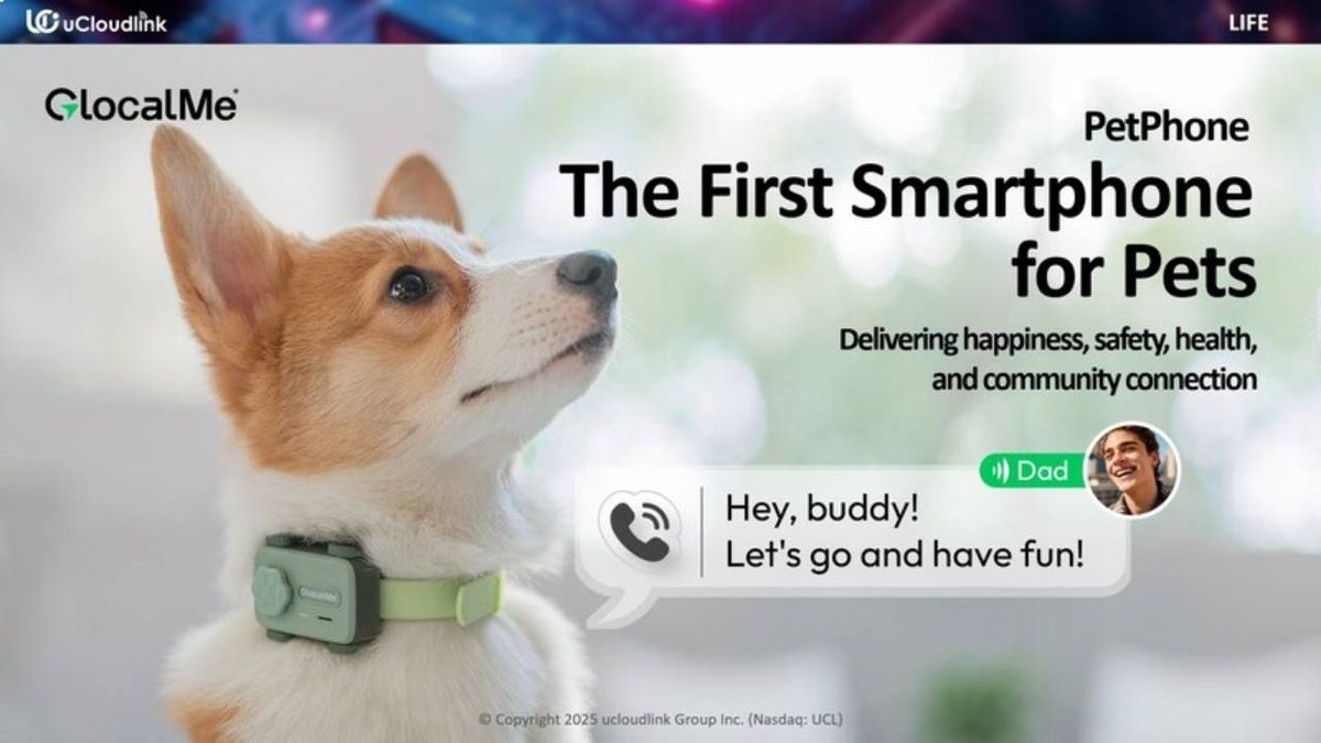 El PetPhone es un collar inteligente que ha sido desarrollado por la empresa china GlocalMe.