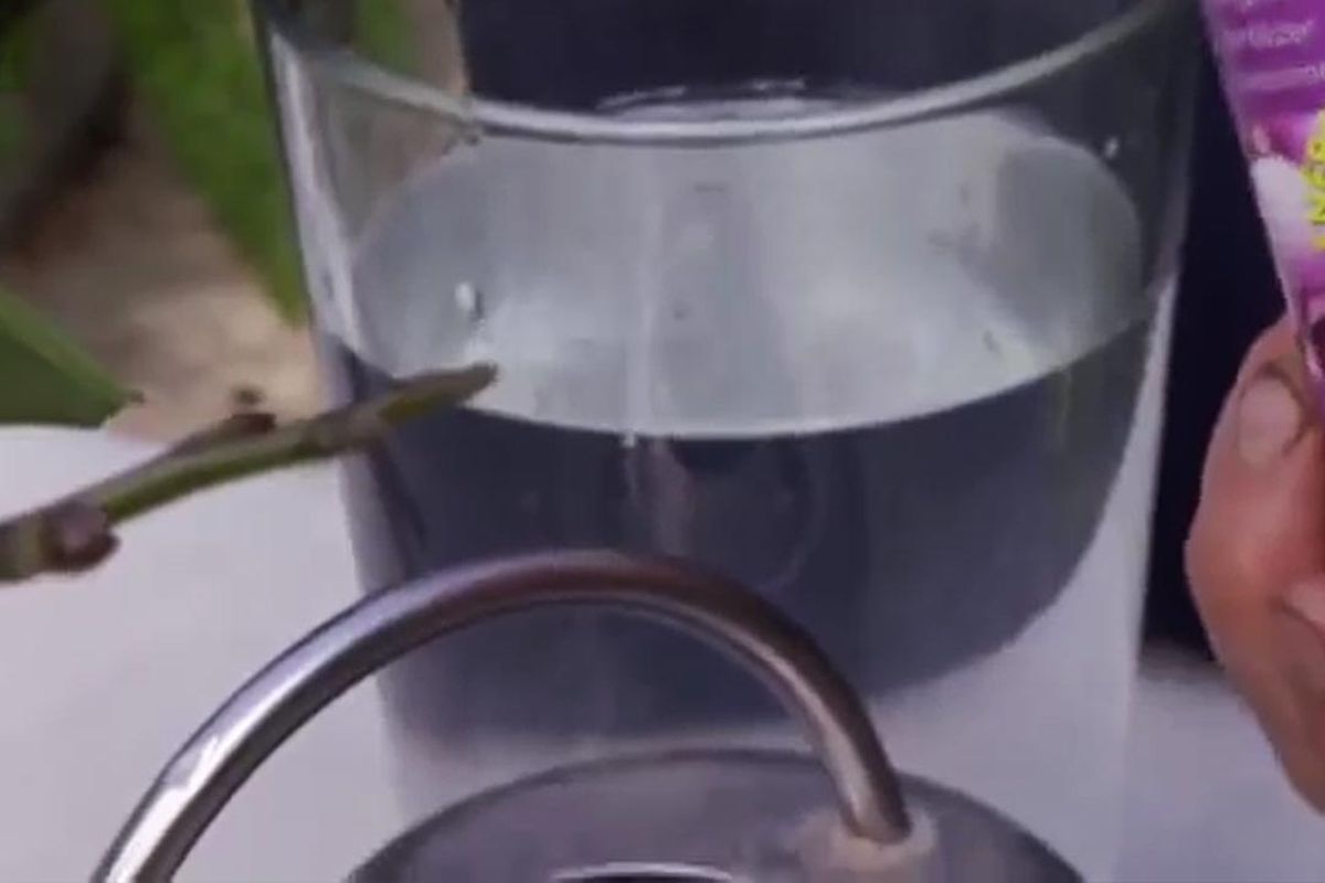 abono orquideas pastillas efervescentes