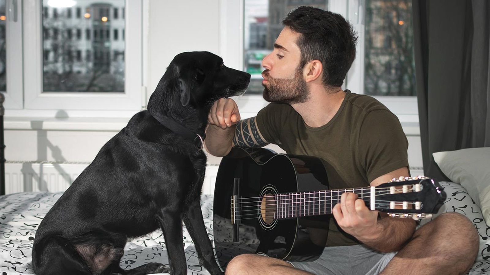 afecta musica mascotas portada