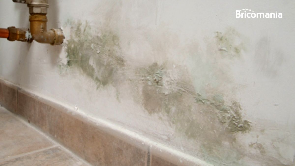 Manchas de humedad en la pared de un sotano