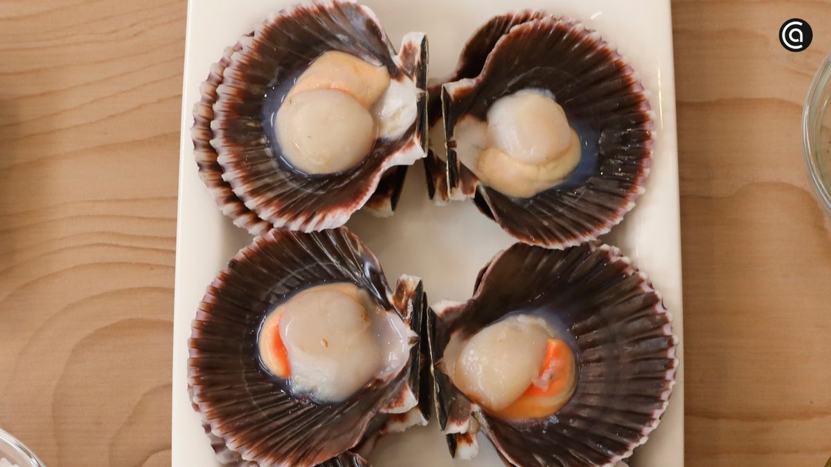 Descubre cómo distinguir las volandeiras y las zamburiñas