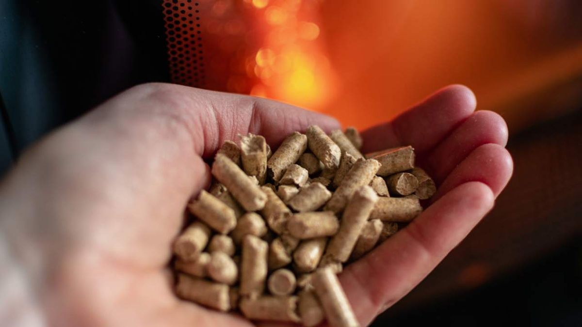 Pellets con una estufa de fondo
