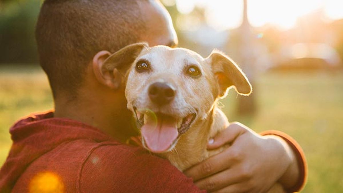 dejar perro con otra persona 1