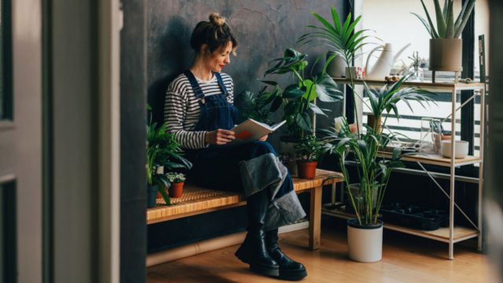 libros de jardinería fuente de informacion de plantas