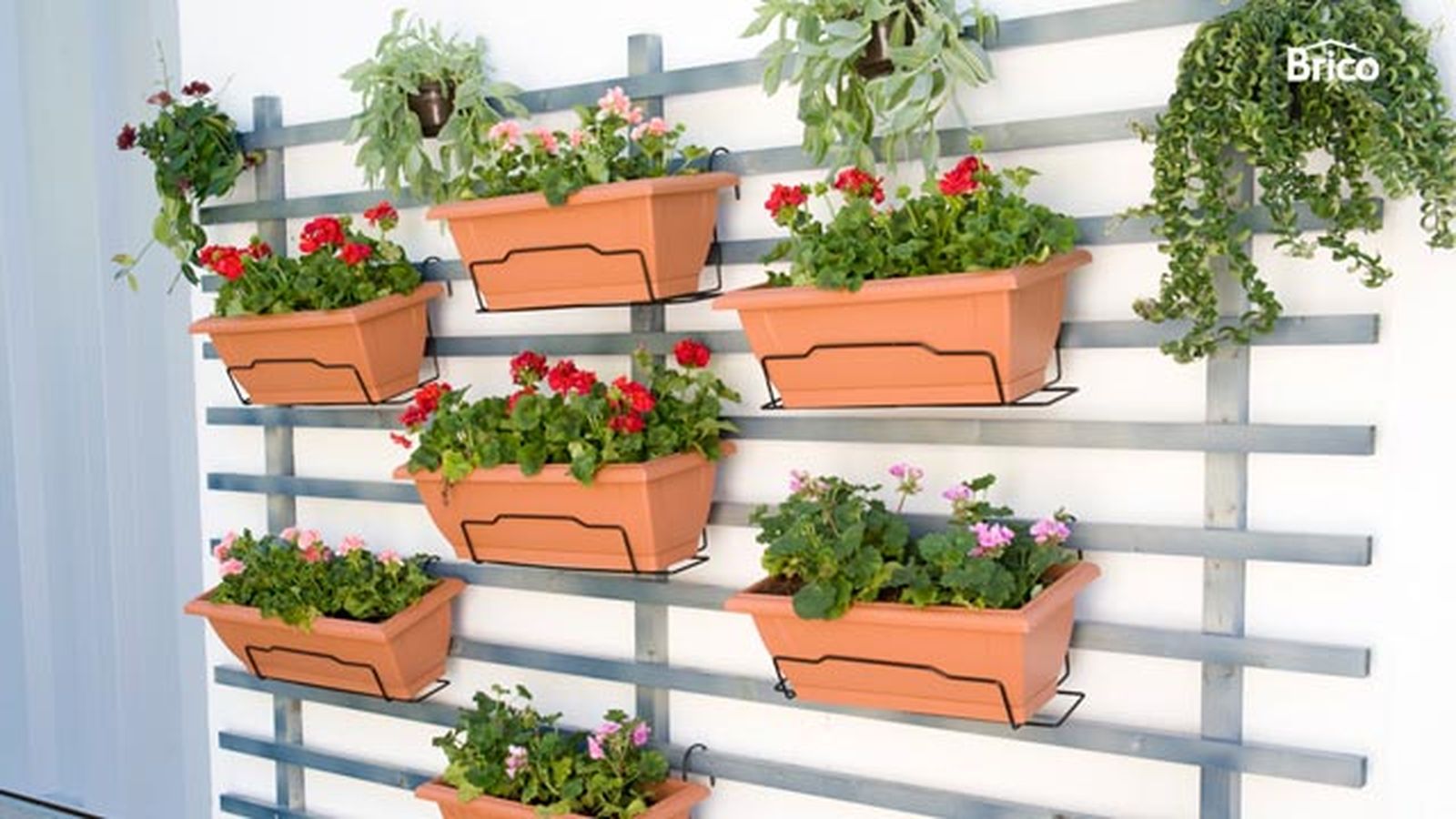 brico 0645 jardin vertical paso 21 detalle
