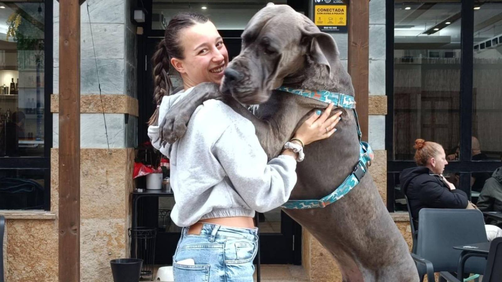 Monti Bar ofrecerá su reconocido menú especial para perros con un descuento del 20%