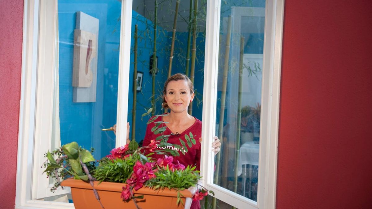 Cambiar cristal de ventana