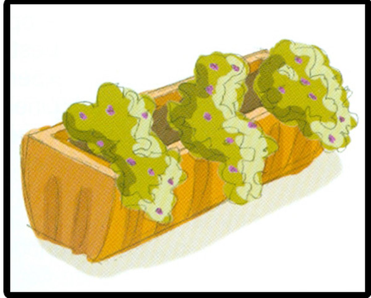 Esquema de plantación 3