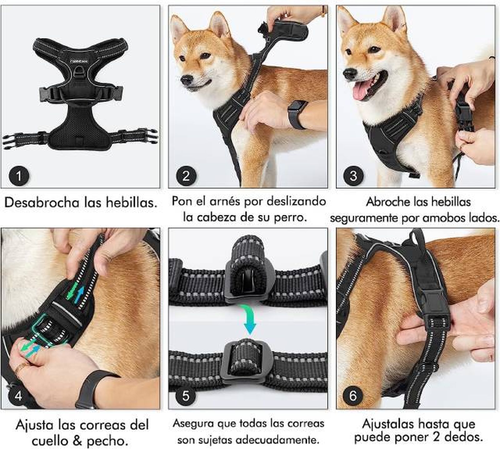 Proyecto nuevo (6)