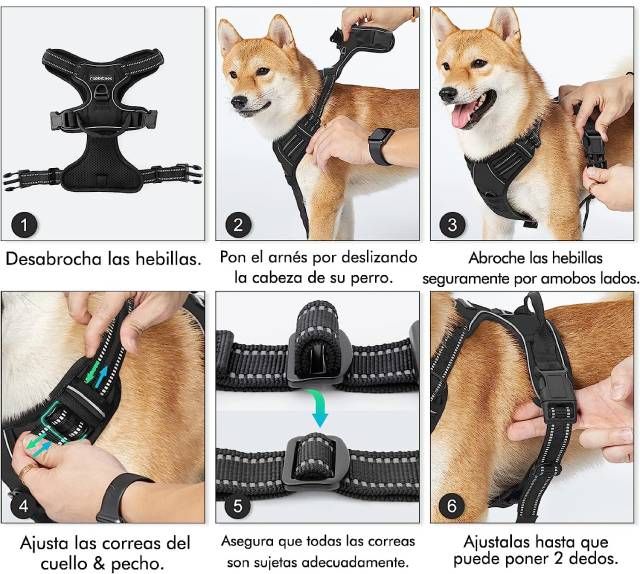 Proyecto nuevo (6)