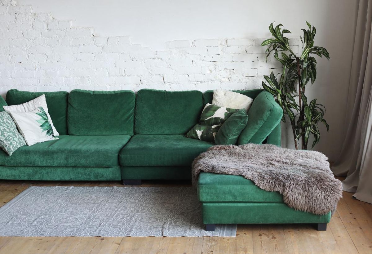 Las plantas altas quedan genial en un salón con sofá verde.