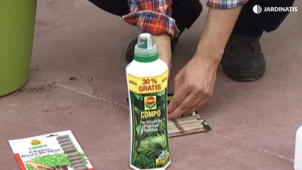 Puedes usar un abono líquido para plantas verdes