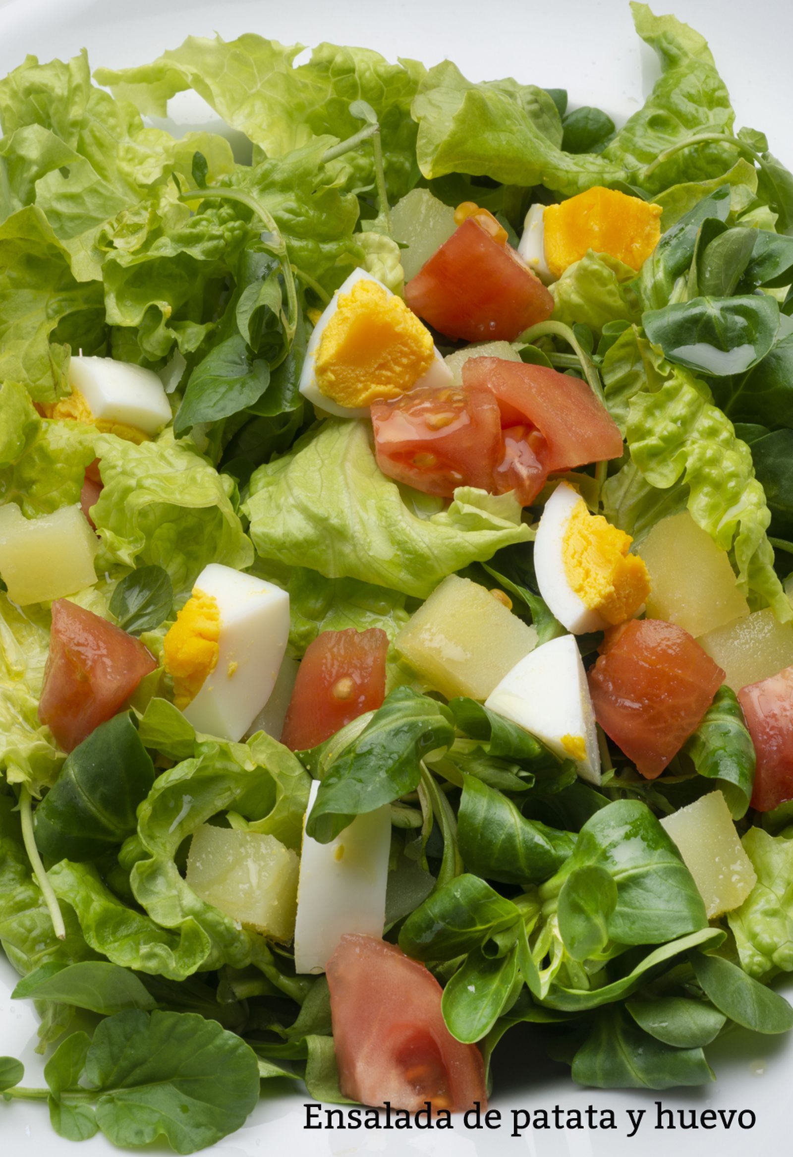 ensalada patata vertical