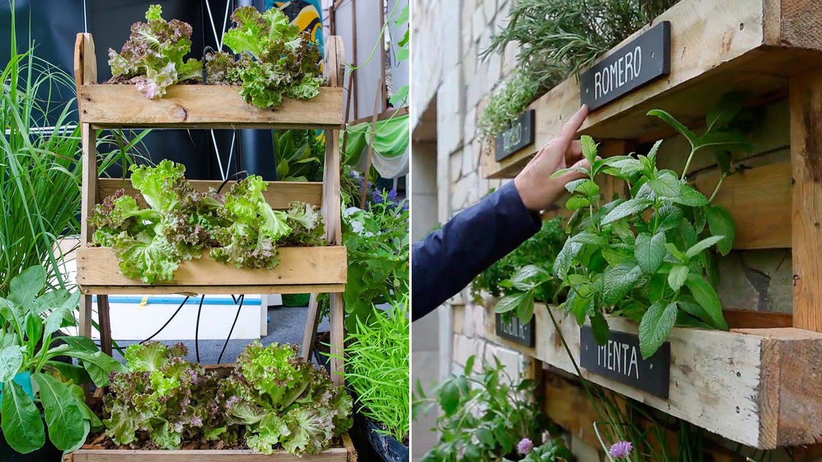 huertos verticales que son xl