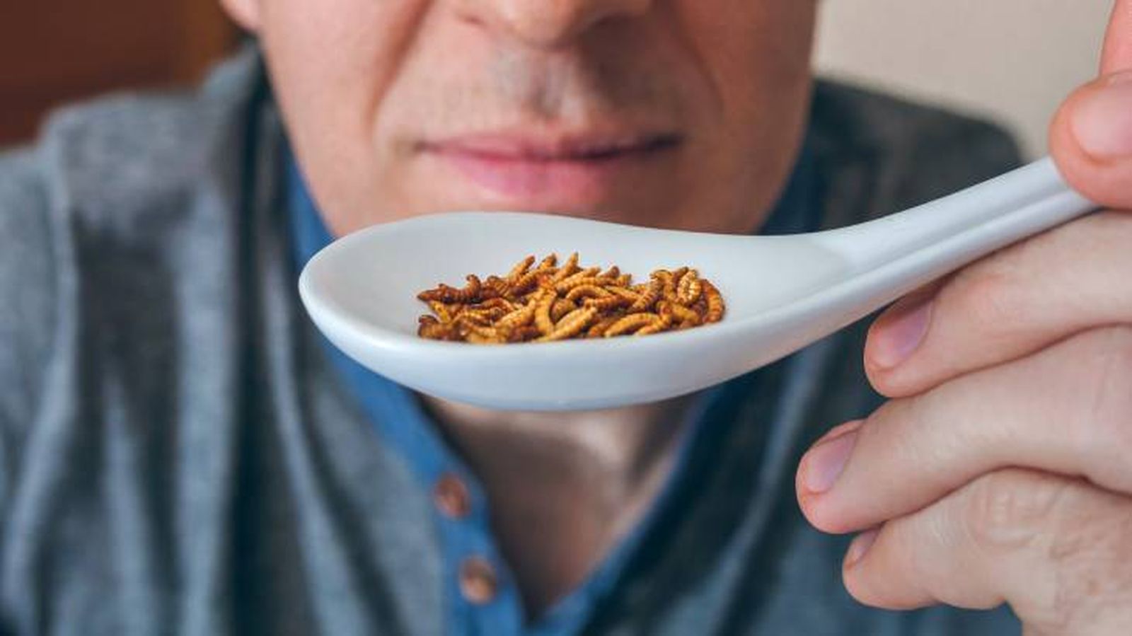 Los insectos pueden ser un alimento sabroso para el ser humano