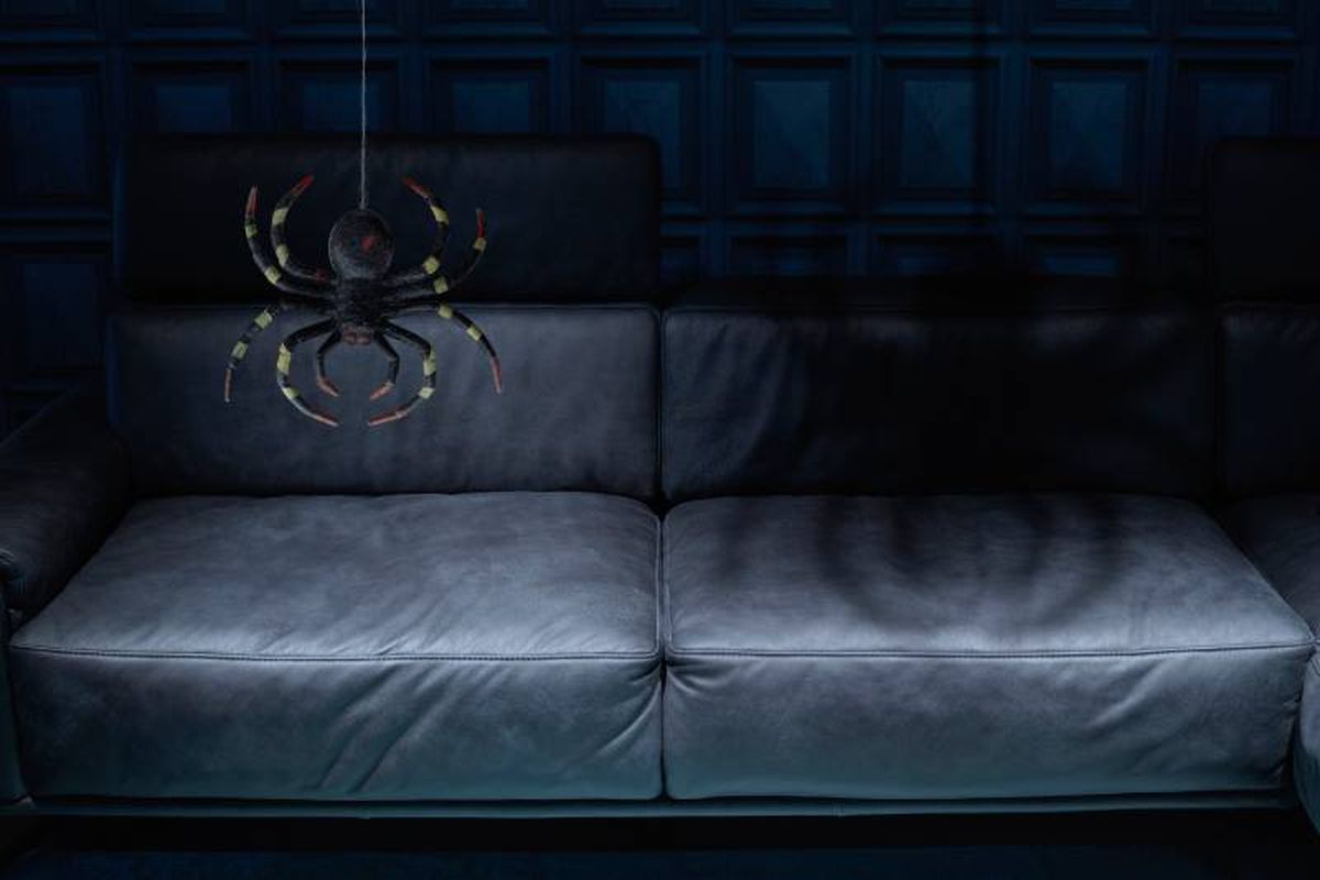 La presencia de arañas en el hogar se interpreta de diversas maneras.