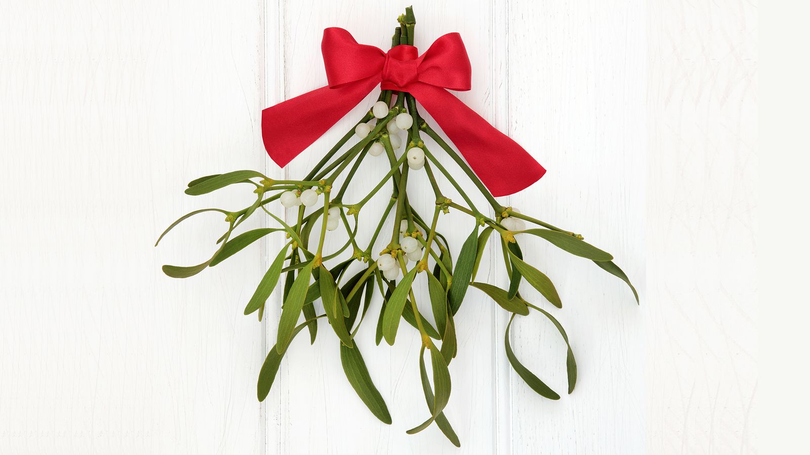 salud plantas muerdago