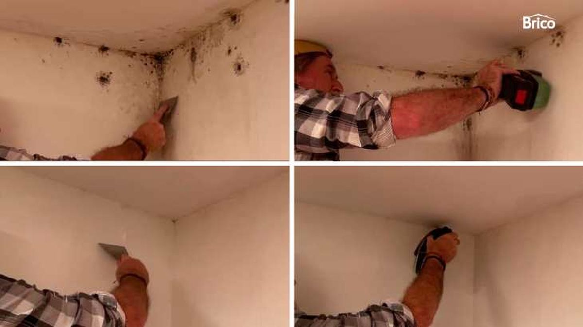Primeros pasos para quitar moho de paredes