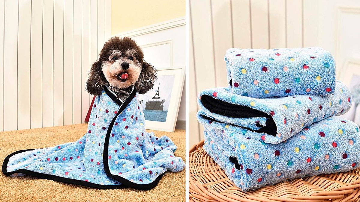 mantitas economicas perros gatos 6