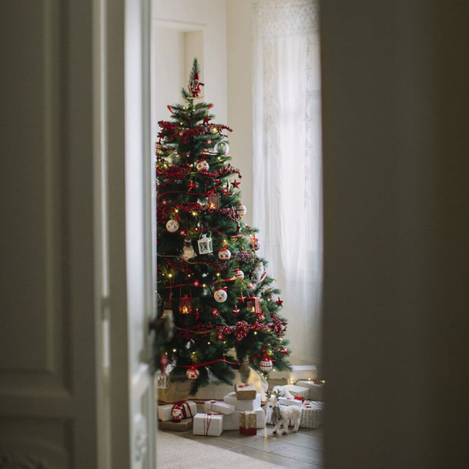 arbol de navidad casa viva