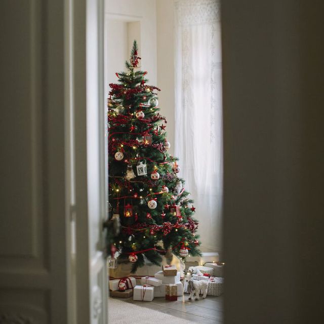 arbol de navidad casa viva