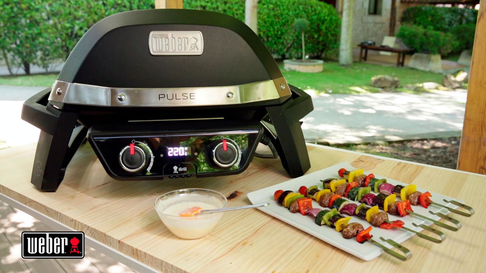 brochetas barbacoa v