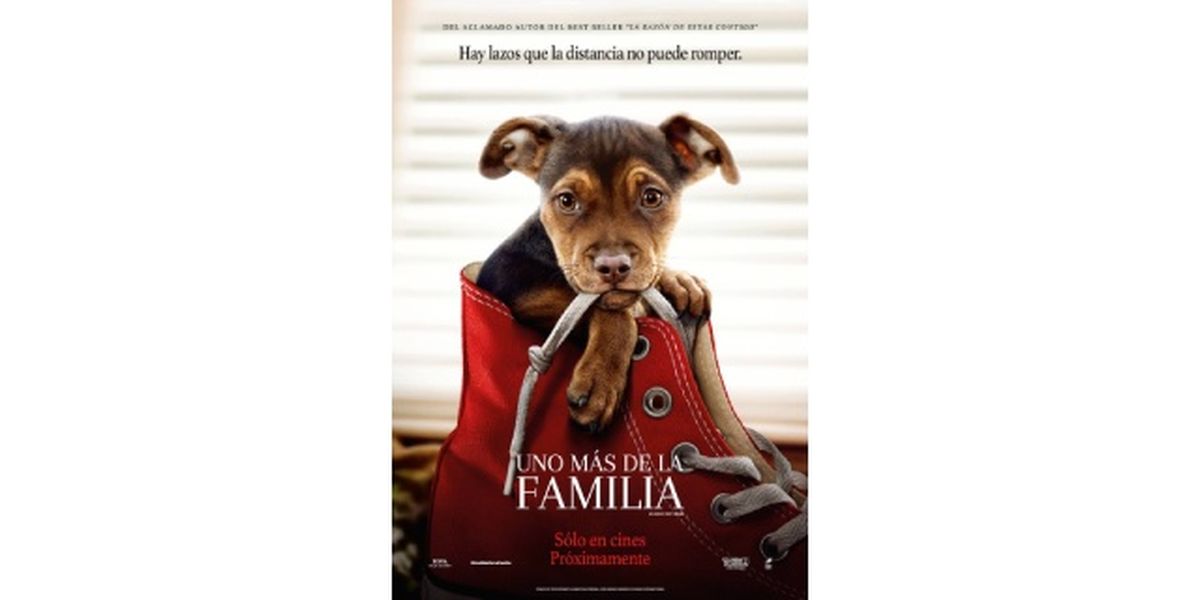 Películas de perros uno mas de la familia