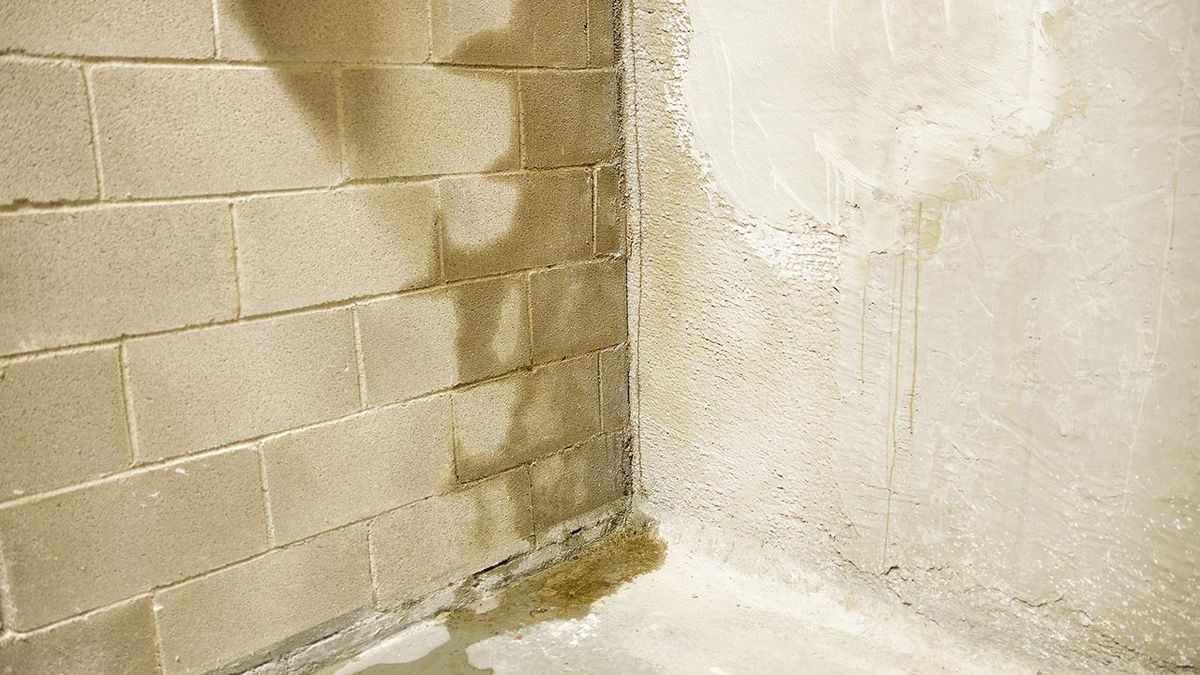 Que es una humedad por filtracion 1