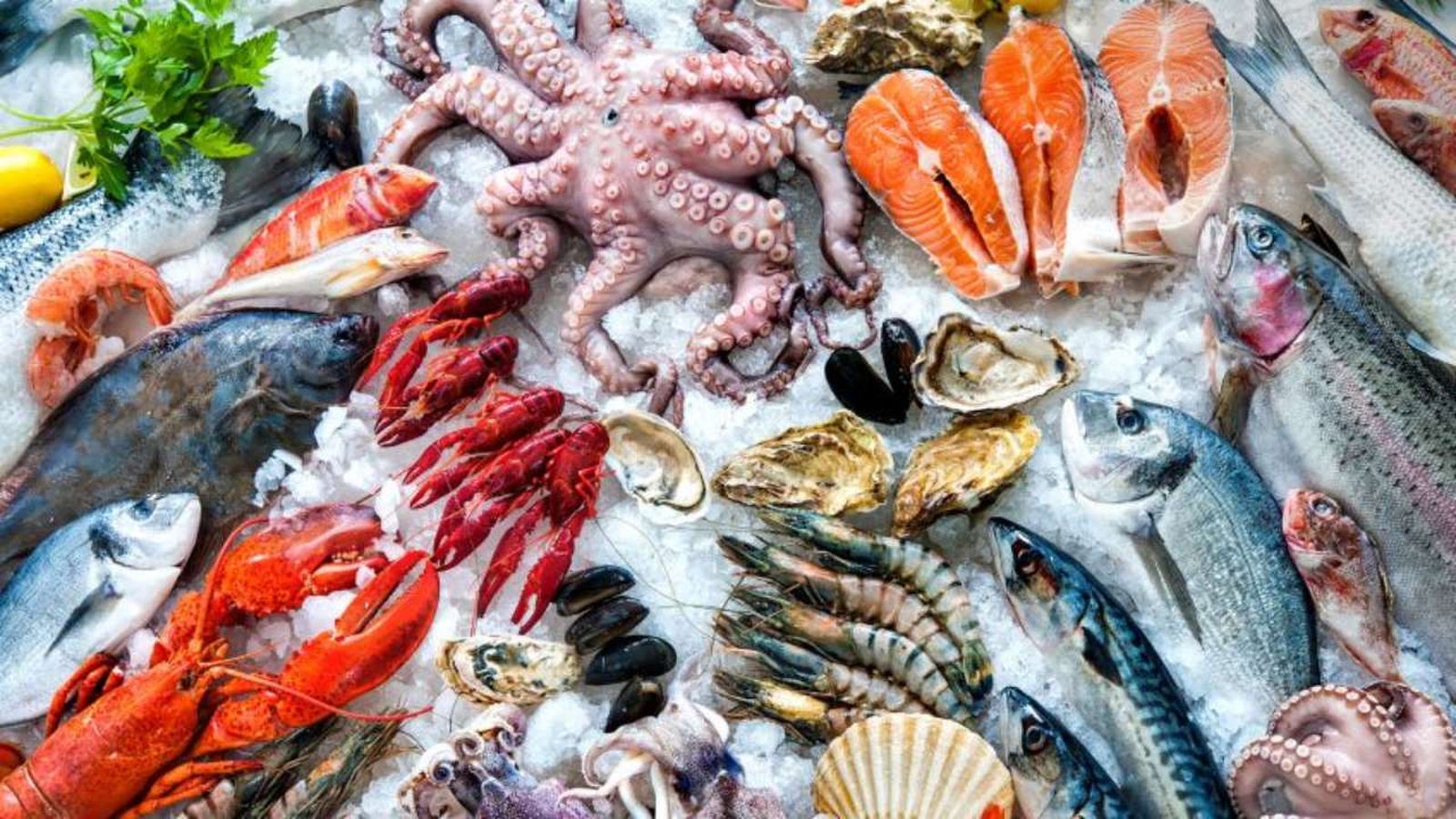 congelar ahorrar comida en navidad consejos