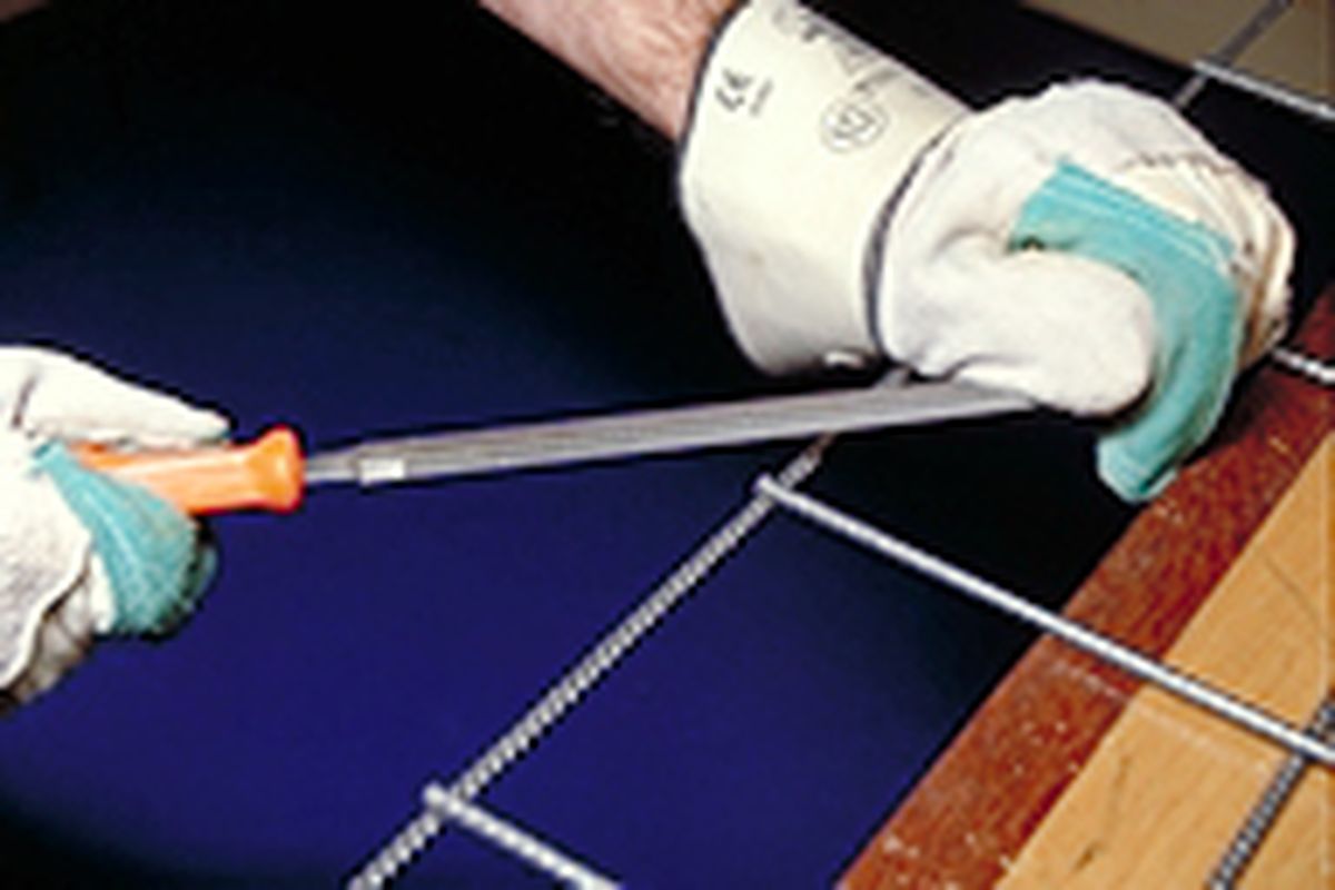 celosia enredaderas p3