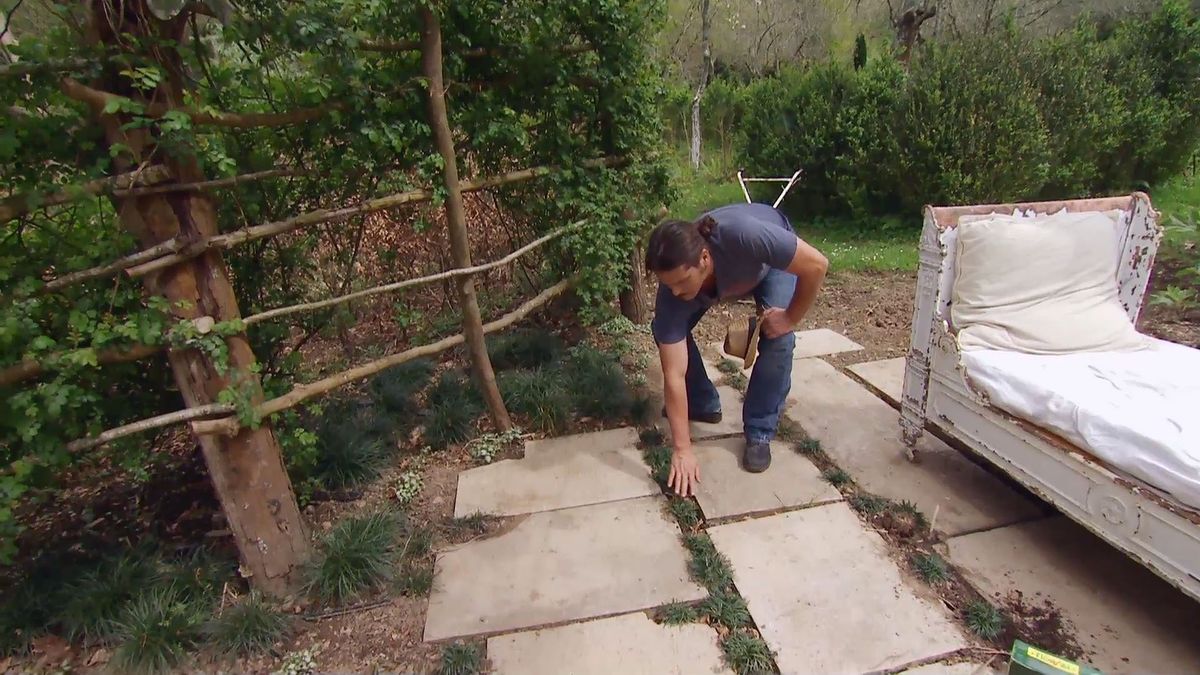 deco 657 jardineria plantar cesped camino losas ophiopogun