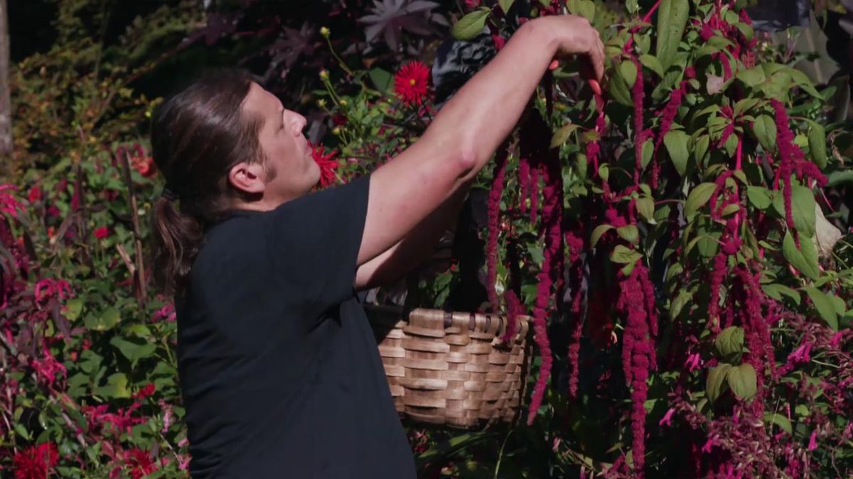 brico 1005 jardin programacion 16 17 2019