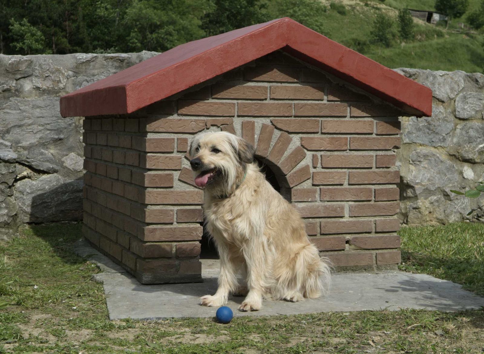 brico 0421 pintar tejado caseta perro