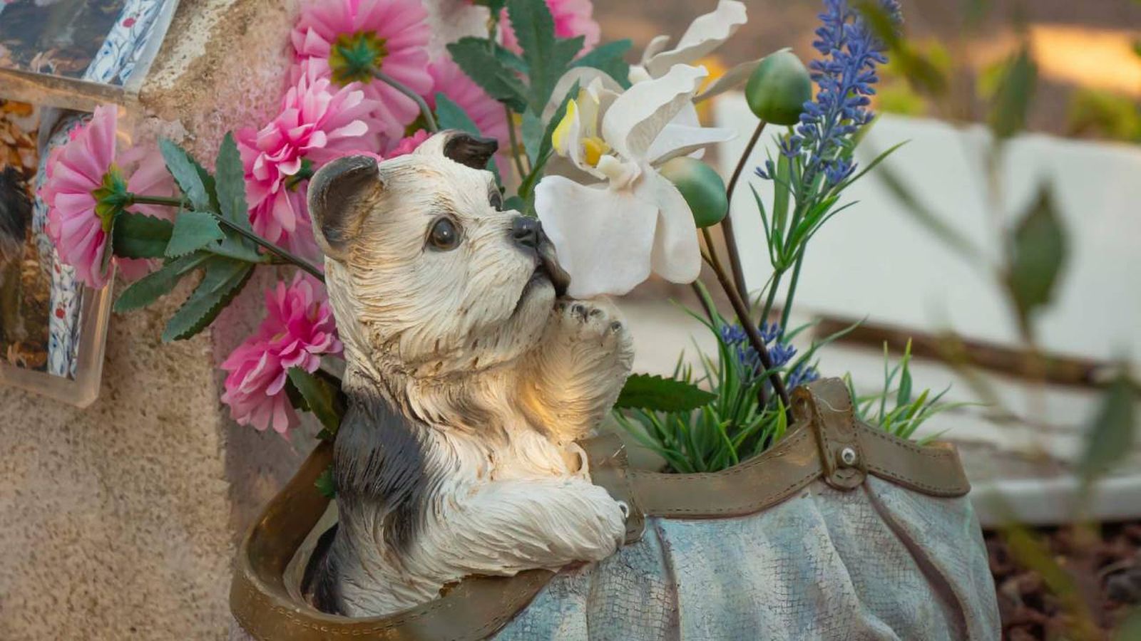 cementerios de mascotas homenaje animales fallecidos