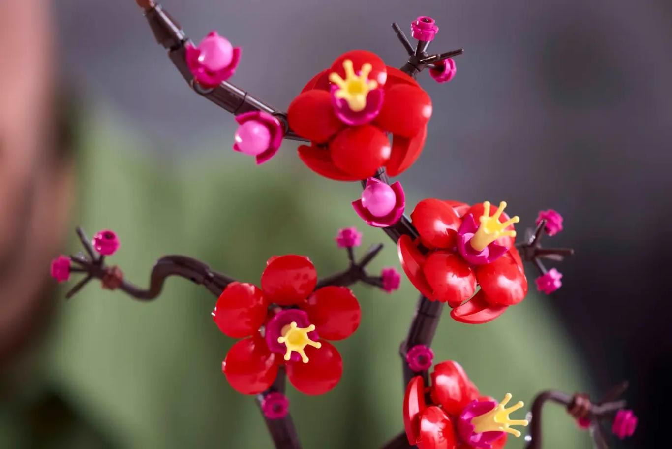Flores de ciruelo.