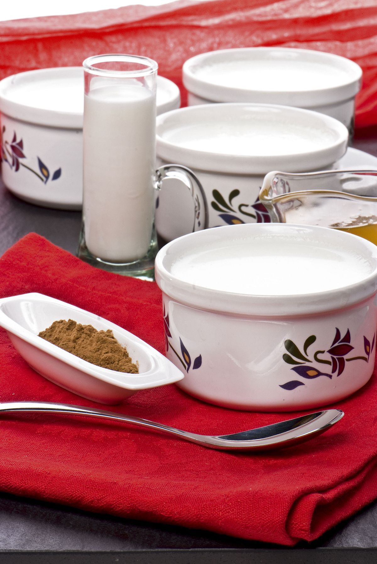 mamia cuajada karlos arguinano xl