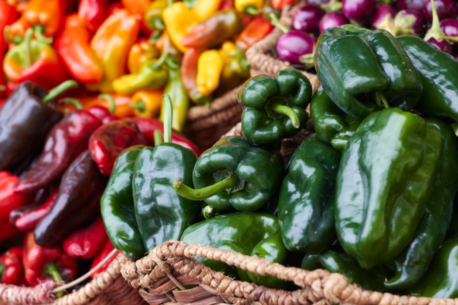 ROJA06_Variedades de pimientos