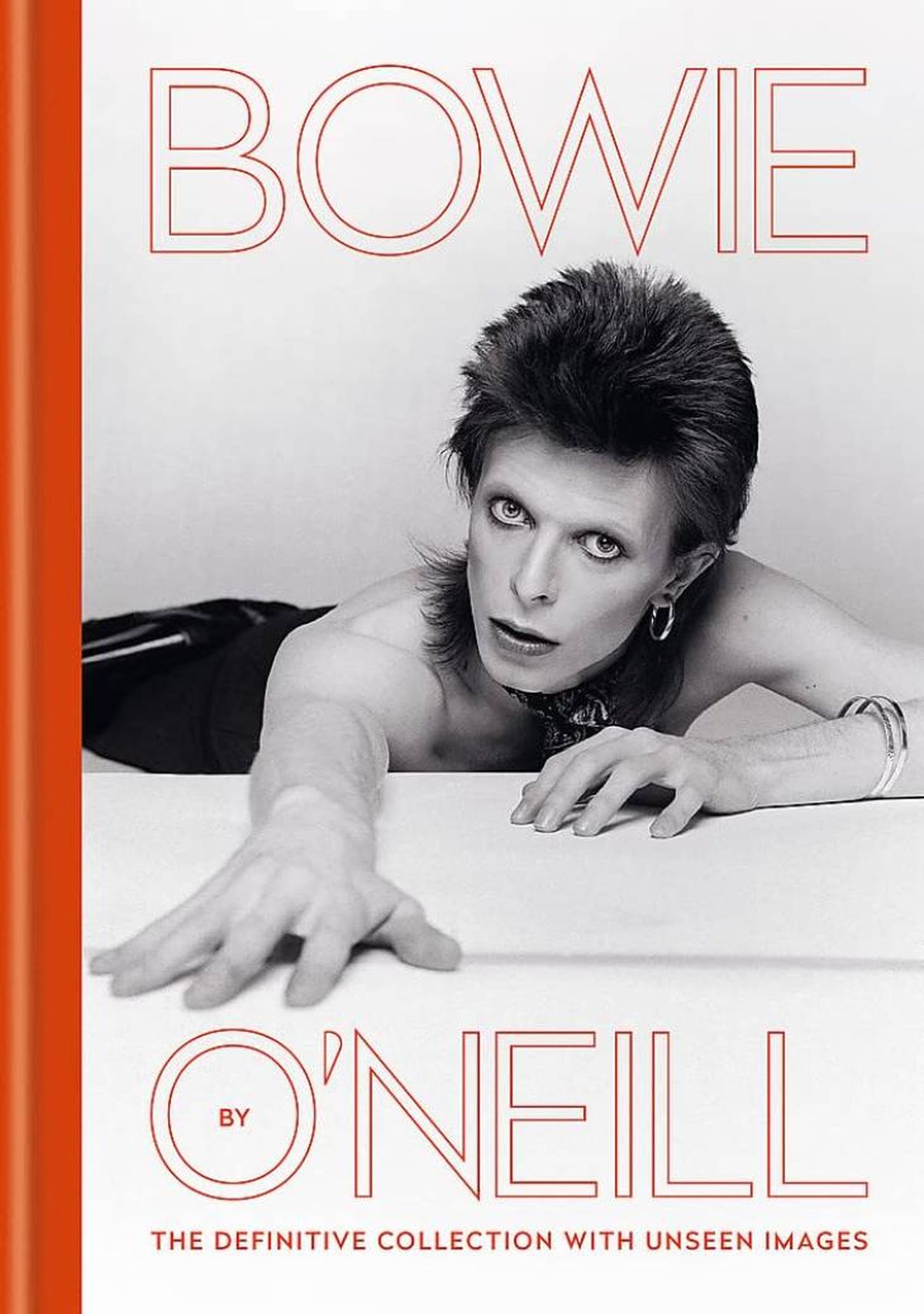 libro decorativo bowie