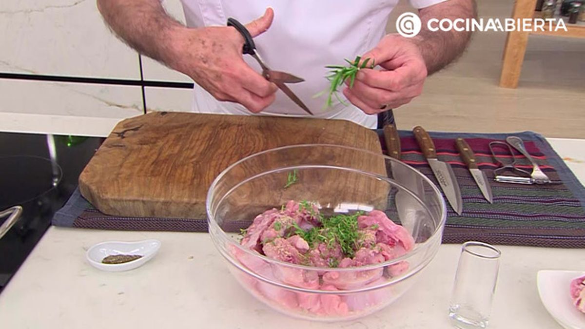 karl6777 medallones conejo p3