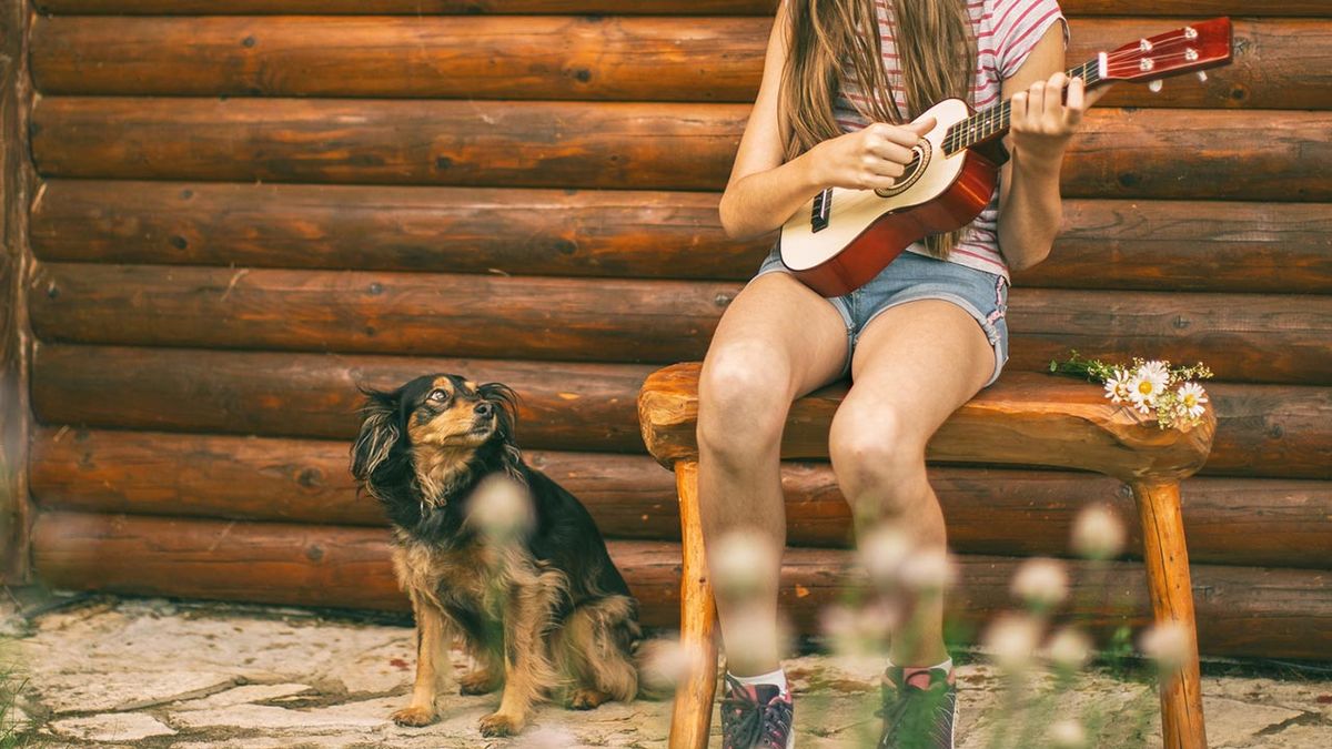 afecta musica mascotas 2