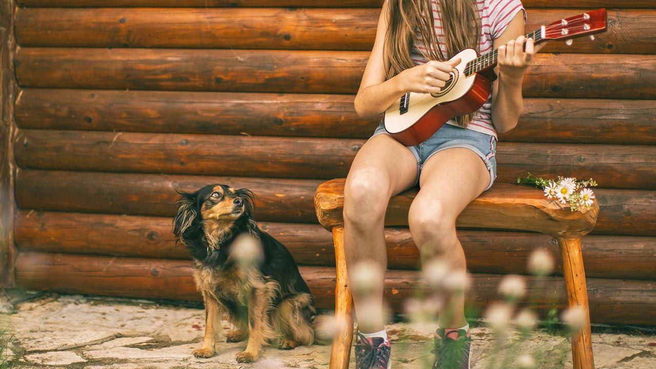 afecta musica mascotas 2