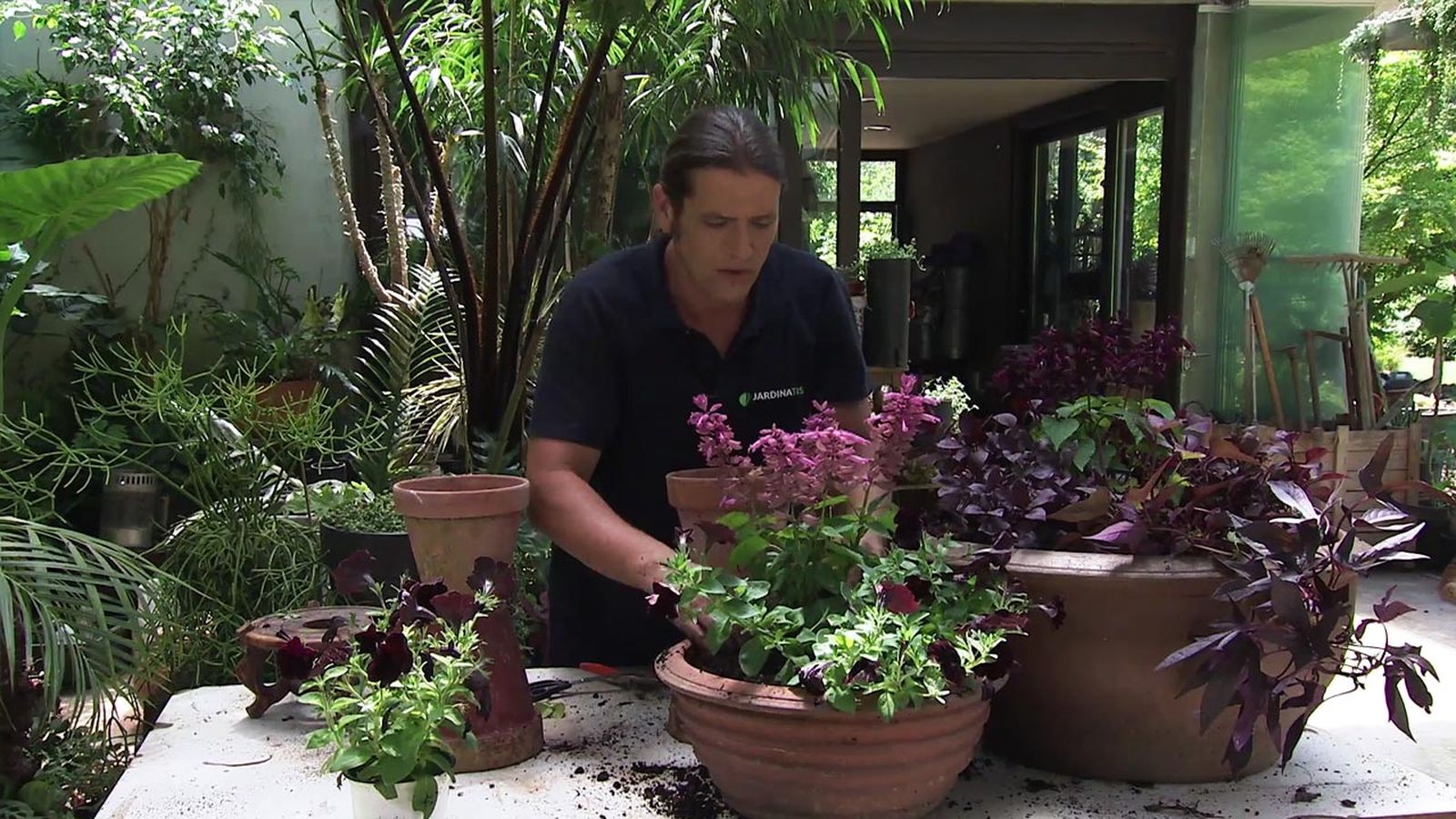 brico jardin 1040 composicion floral granate salvia rosa surfinias negras