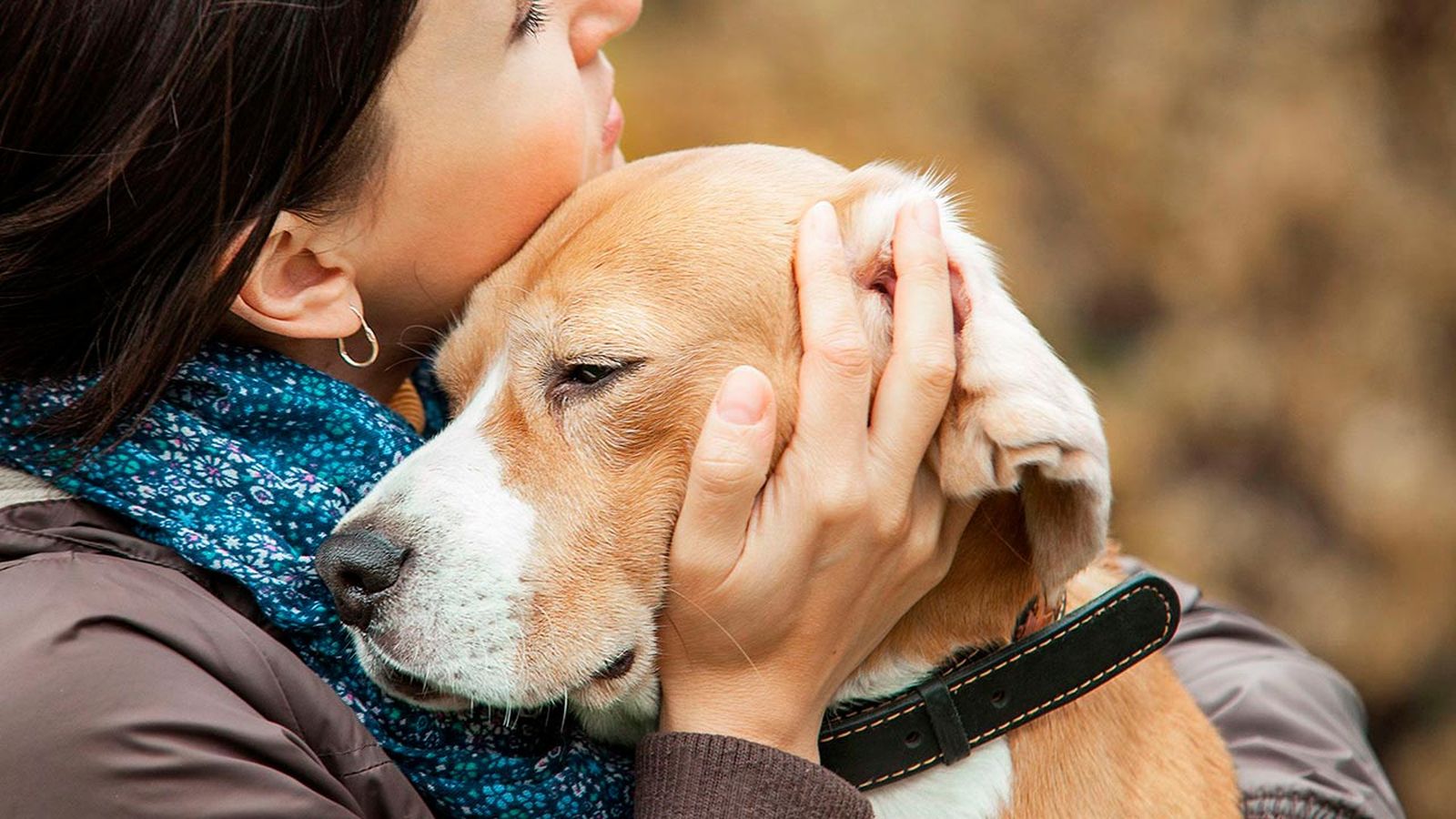 trastornos emocionales perros 7