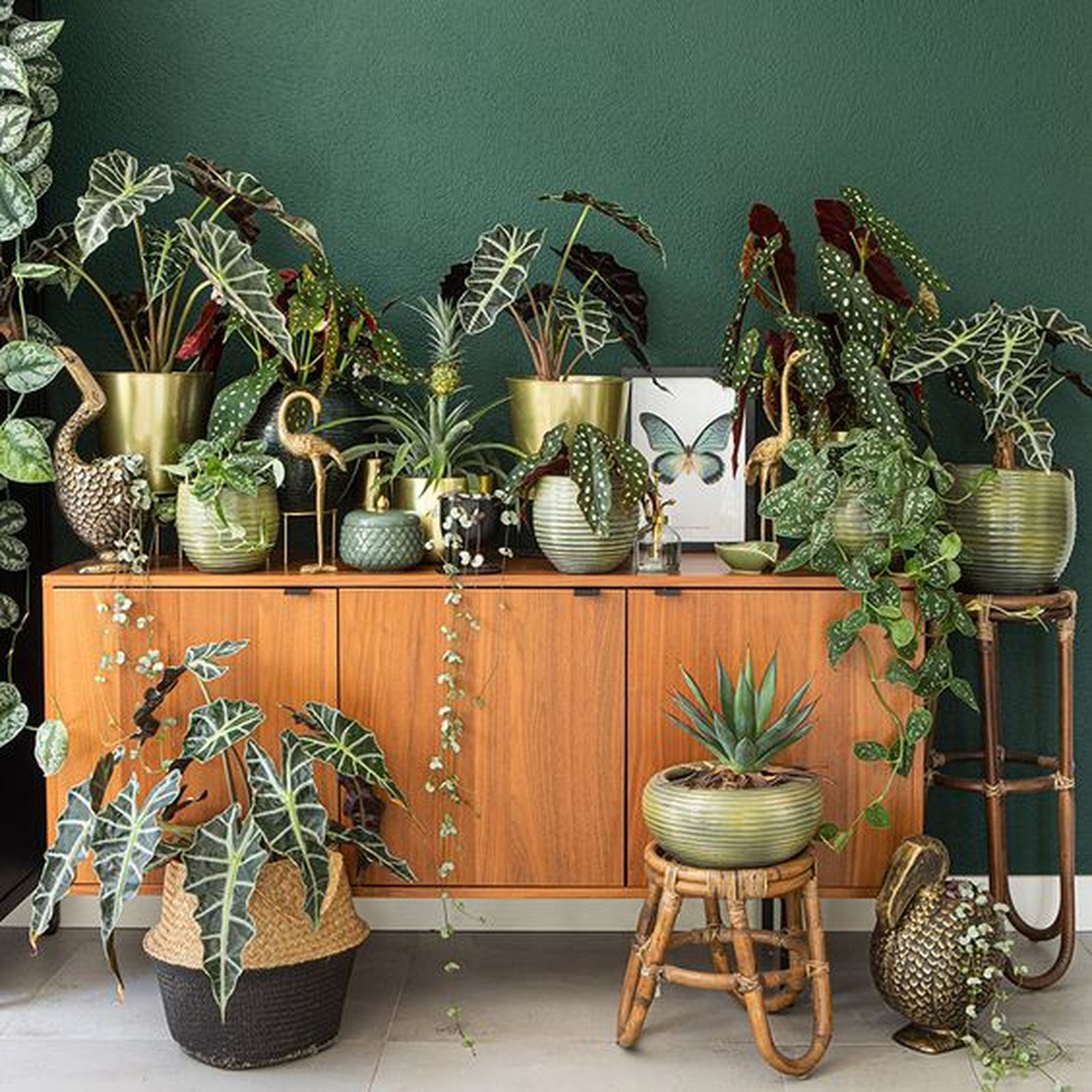urban jungle salon