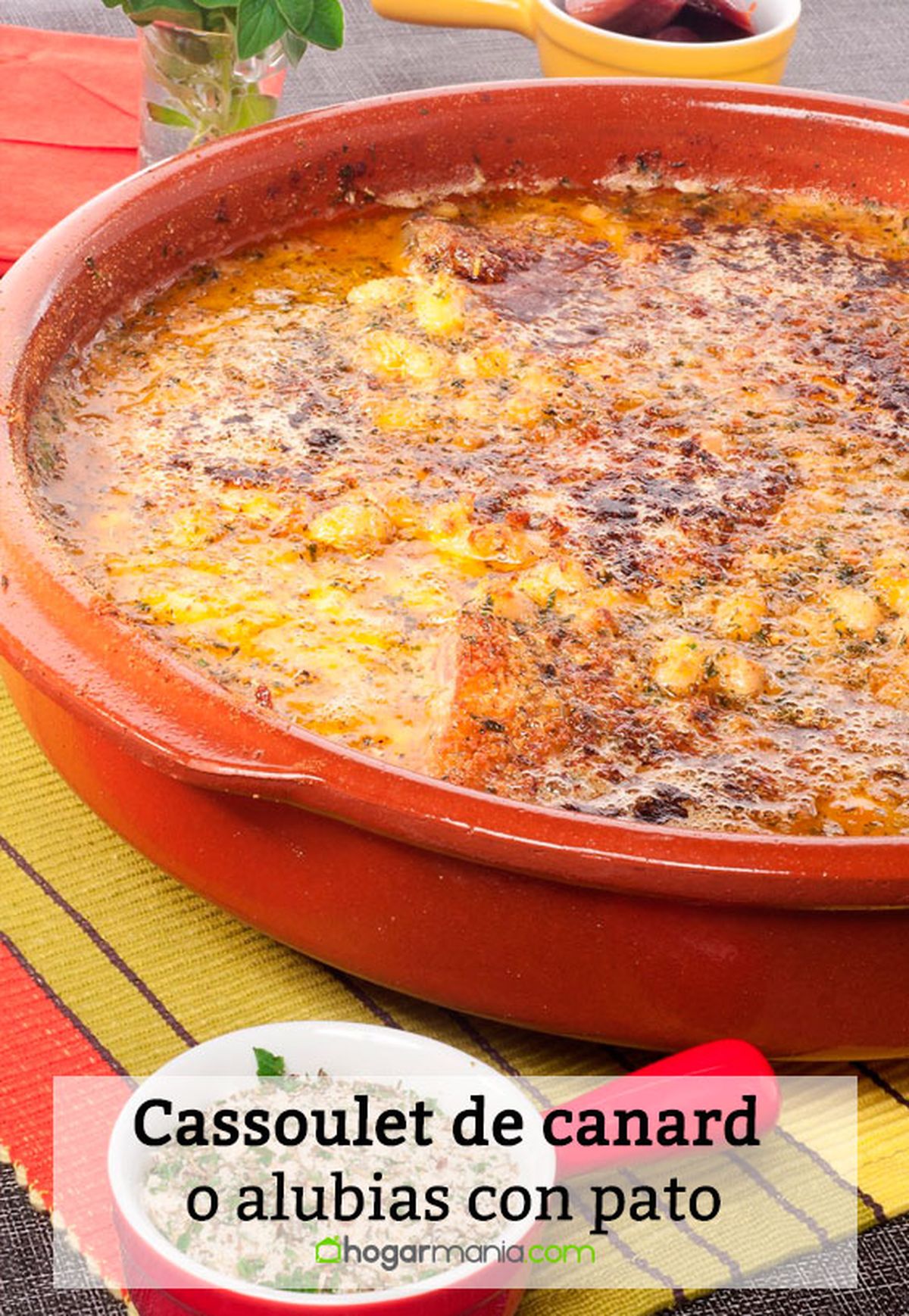 cassoulet canard alubias pato pin