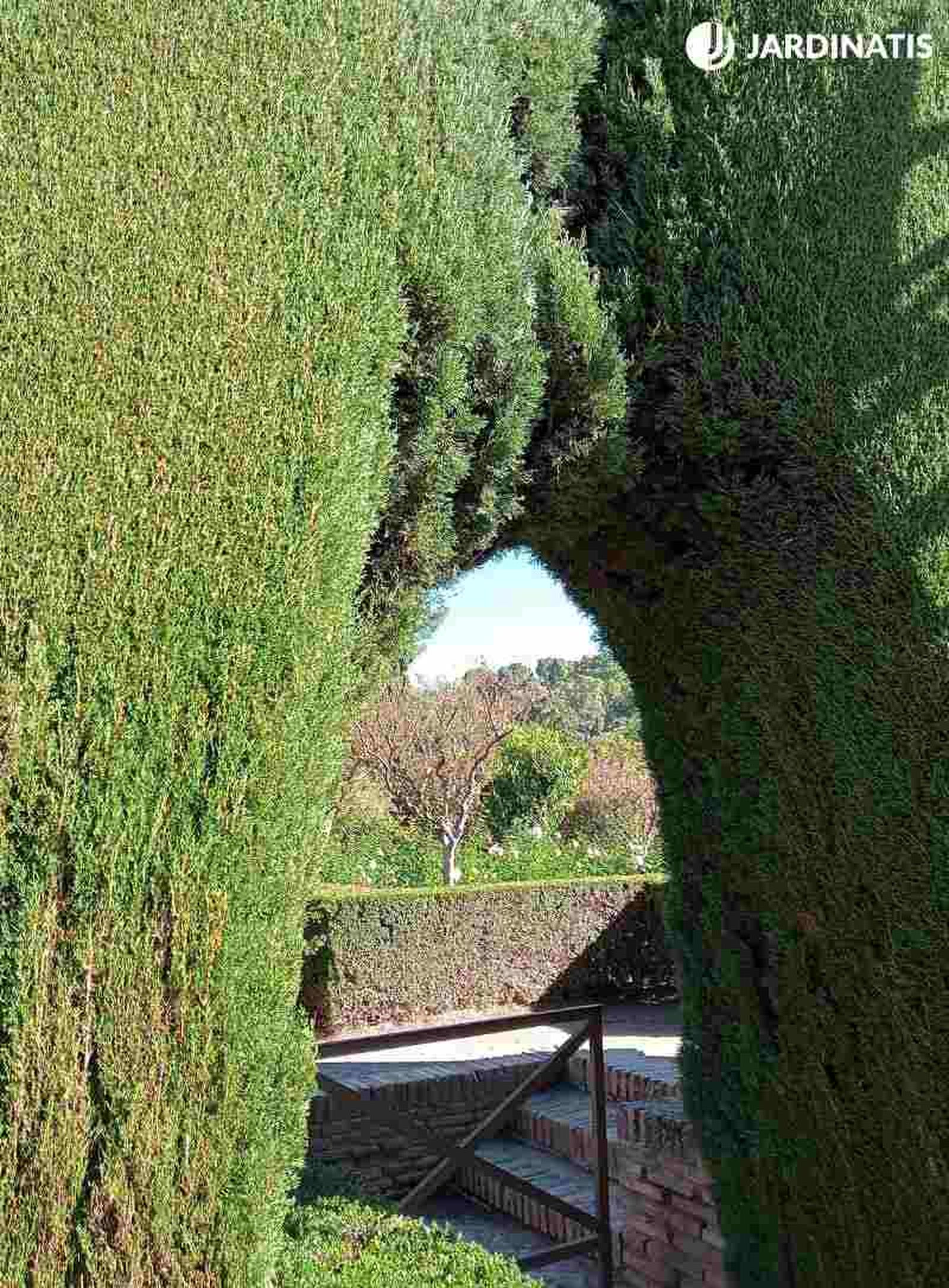 Arte topiario en la Alhambra de Granada